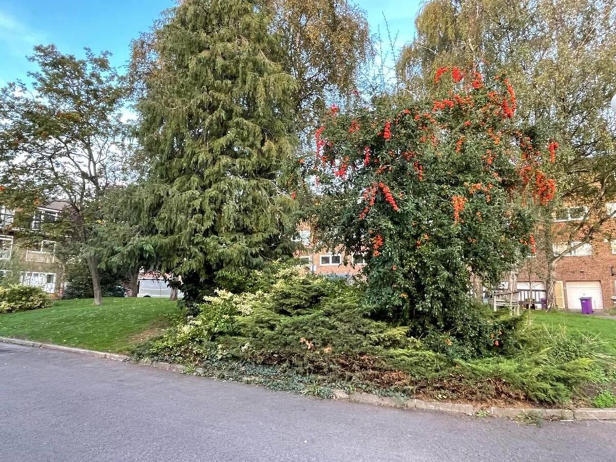 Gazde/Camere de închiriat Double Bedroom With A Balcony And Ensuite Bathroom For Short Or Long In Canary Wharf With Direct Train From Heathrow, Also Convenient From Stansted And Gatwick Airport, 10 Minutes From Airport And Excel, 16 Minutes To Westmins